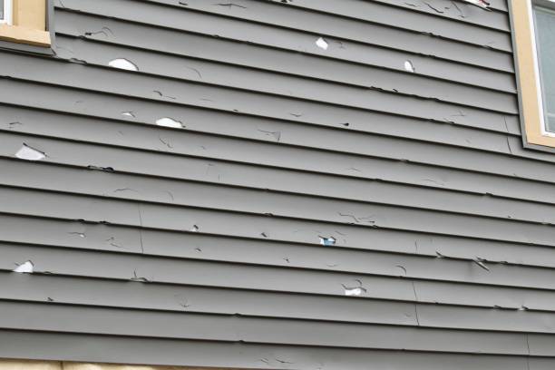 Best Siding Painting and Refinishing  in Garden Acres, CA